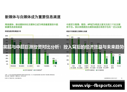 英超与中超巨额投资对比分析:投入背后的经济效益与未来趋势 英超与中超巨额投资对比分析:投入背后的经济效益与未来趋势