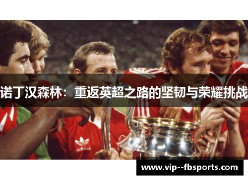 诺丁汉森林：重返英超之路的坚韧与荣耀挑战