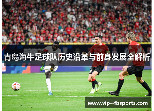 青岛海牛足球队历史沿革与前身发展全解析 青岛海牛足球队历史沿革与前身发展全解析